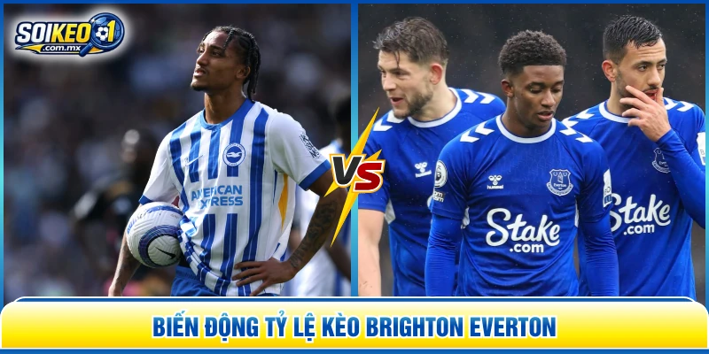 Biến động tỷ lệ kèo Brighton Everton