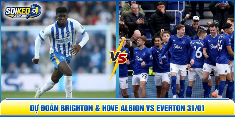 Dự đoán Brighton & Hove Albion vs Everton 31/01
