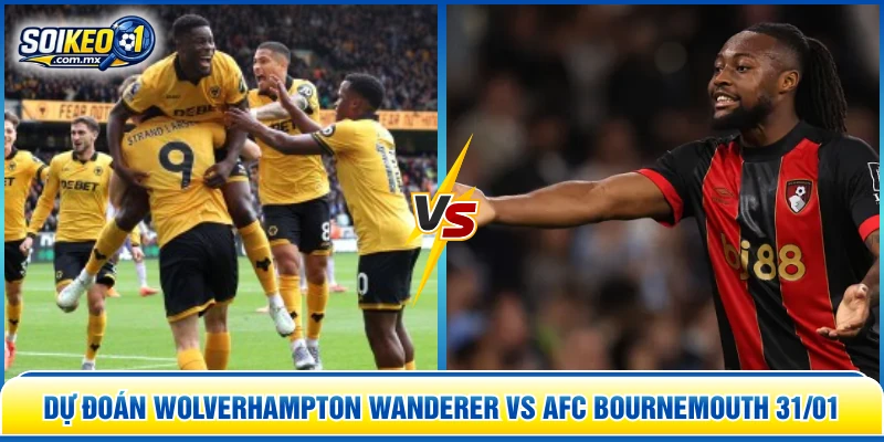 dự đoán Wolverhampton Wanderer vs AFC Bournemouth 31/01