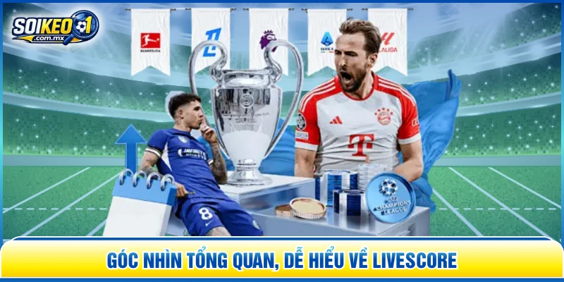 Góc nhìn tổng quan, dễ hiểu về Livescore