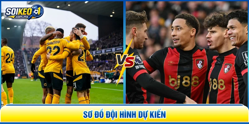 Sơ đồ đội hình dự kiến