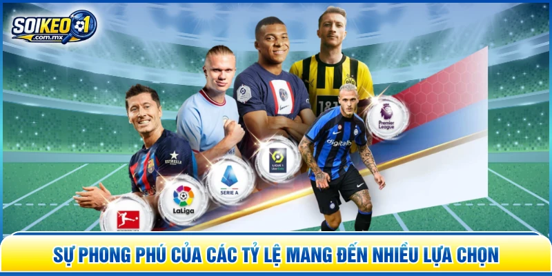 Sự phong phú của các tỷ lệ mang đến nhiều lựa chọn 