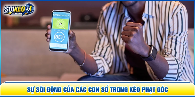 Sự sôi động của các con số trong kèo phạt góc