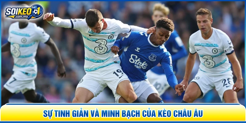 Sự tinh giản và minh bạch của kèo châu Âu