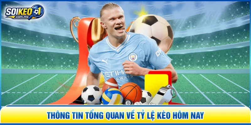 Thông tin tổng quan về tỷ lệ kèo hôm nay