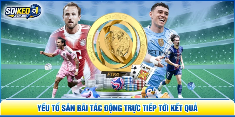 Yếu tố sân bãi tác động trực tiếp tới kết quả