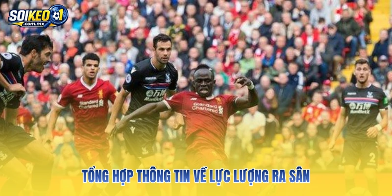 Tổng hợp thông tin về lực lượng ra sân